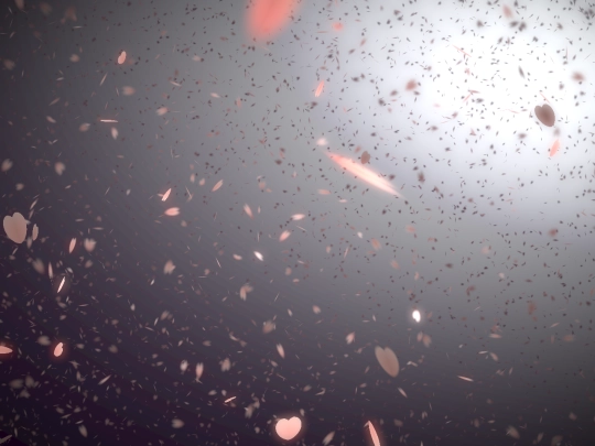 sakura screenshot