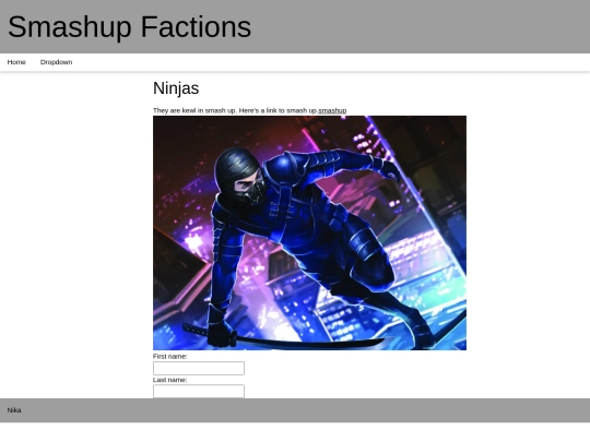 ninjas screenshot