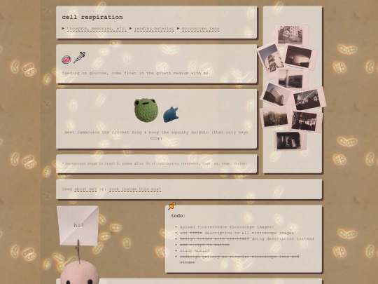 home screenshot