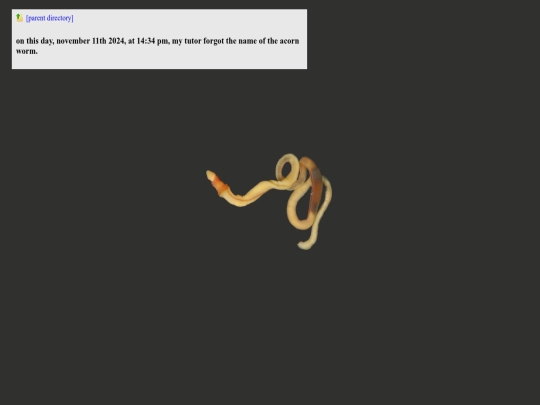 notes/acorn_worm_appreciation screenshot