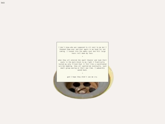 notes/drain_fly screenshot
