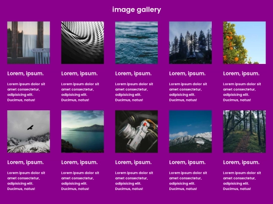 image gallery/c screenshot