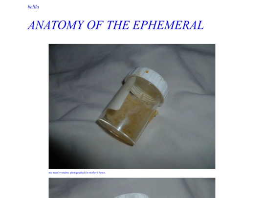 anatomyoftheephemeral screenshot