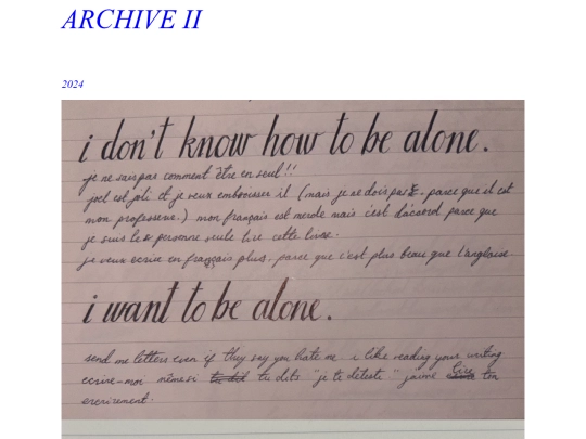 diaryarchive screenshot