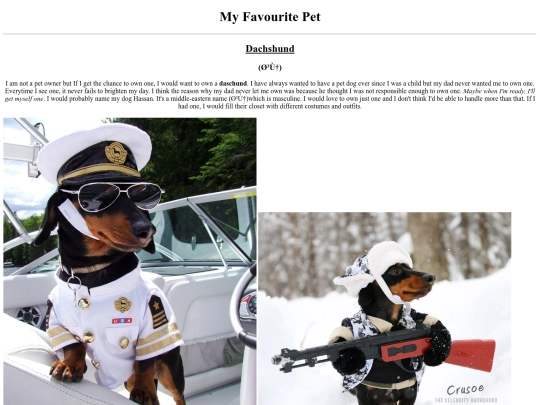 MyFavouritePet screenshot
