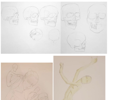 anatomy screenshot
