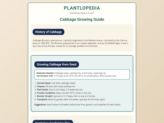 cabbage screenshot