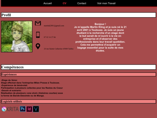CV screenshot