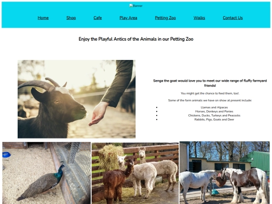 PettingZoo screenshot