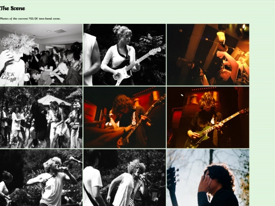 thescene screenshot