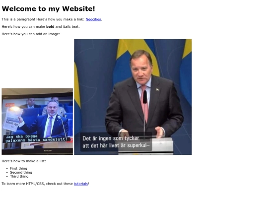 swedish_politicians_says_stuff screenshot