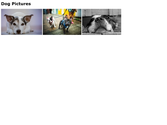 starter-gallery-assignment/starter-gallery-assignment screenshot