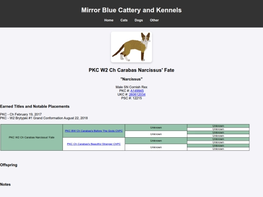 CornishRex/narcissus screenshot