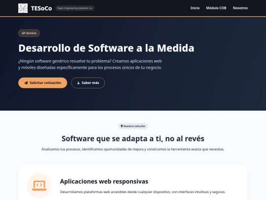 servicio-desarrollo screenshot