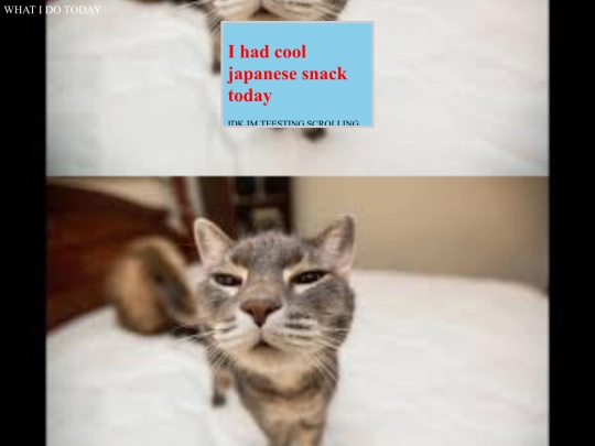 cat screenshot