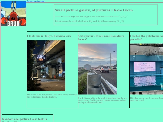 something screenshot