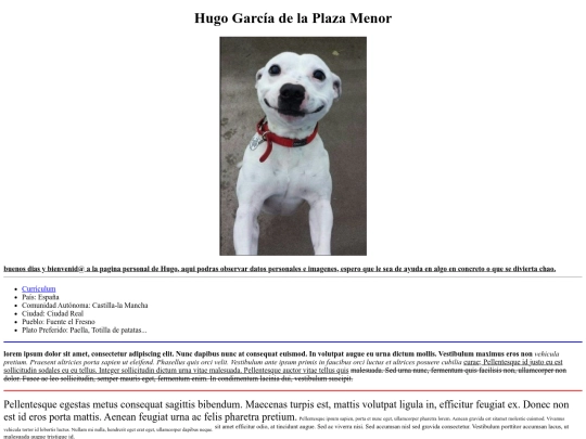 practica1/otras/paginawebpersonal screenshot