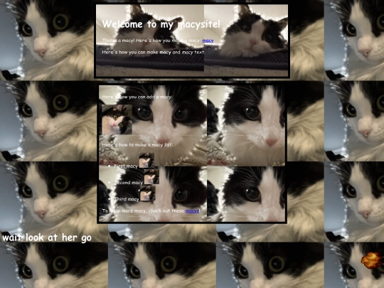 Macy screenshot
