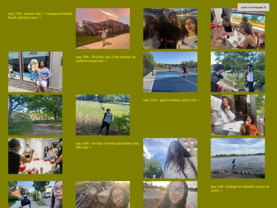 gallery26 screenshot