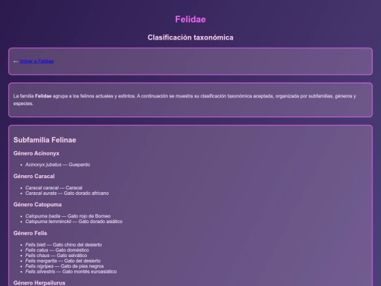clasificacion screenshot