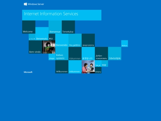 iis screenshot