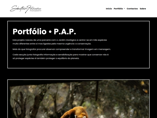 portfolio_pap screenshot