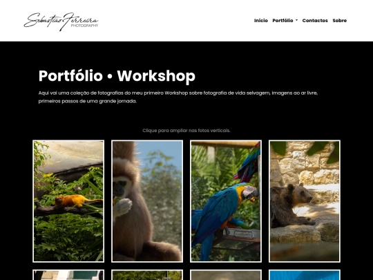 portfolio_workshop screenshot