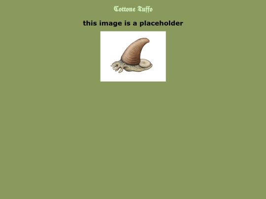 cottone screenshot