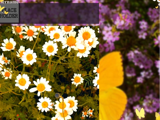 test screenshot