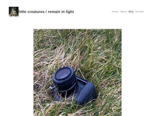 blog screenshot