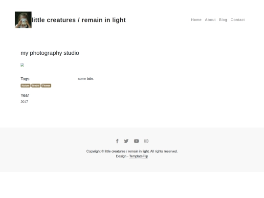 image-detail screenshot