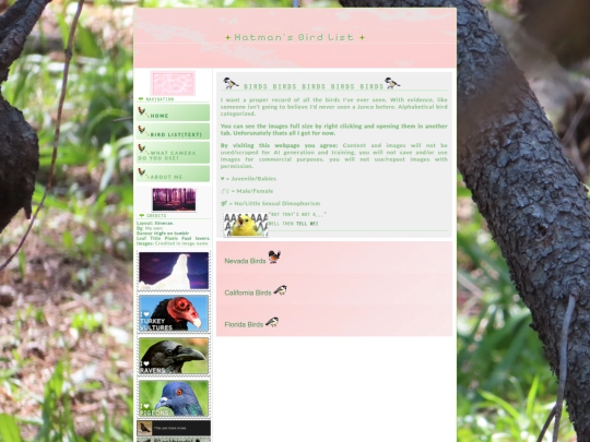 birds/birds screenshot
