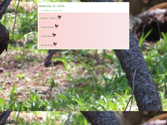birds/birdtext screenshot