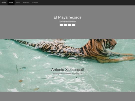 portafolio screenshot