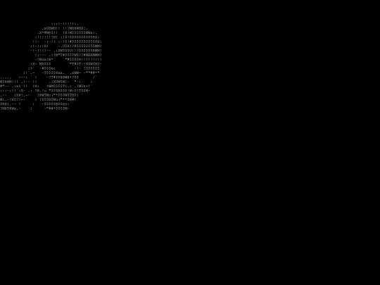 ascii screenshot