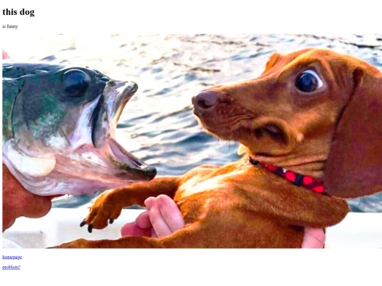 pogdog screenshot