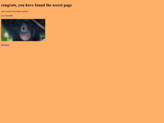 secretpage screenshot
