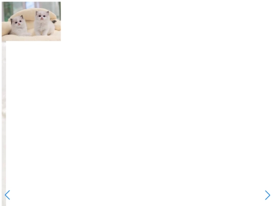 1124/789 screenshot