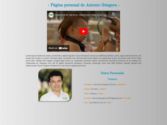 pagpersonal/paginaPersonal screenshot