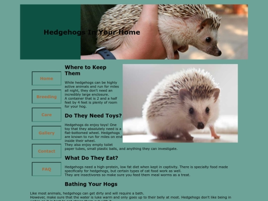 care screenshot