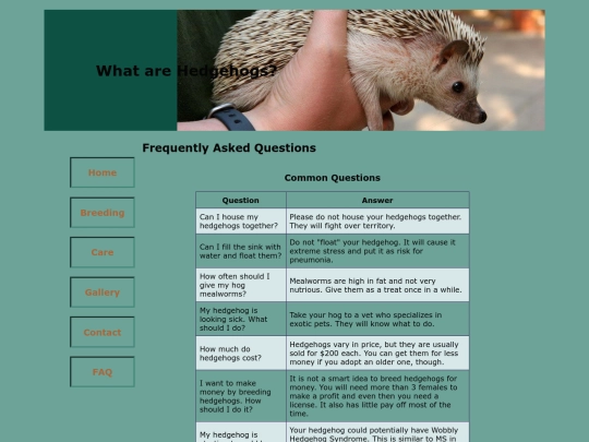 faq screenshot