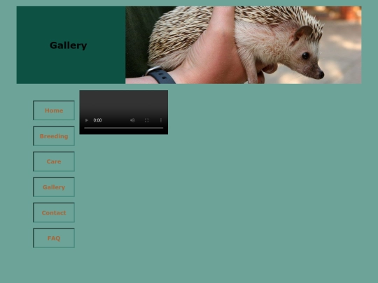 gallery screenshot