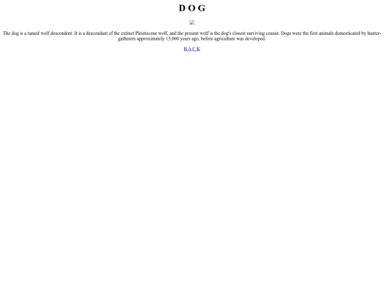 jyani screenshot
