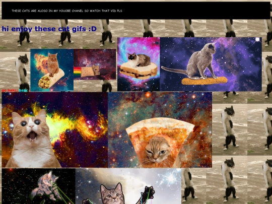 cats screenshot