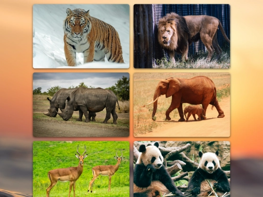 animals screenshot