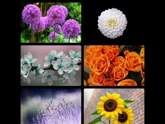 flowers screenshot