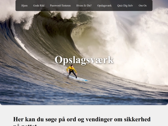 sikkerhed/Opslagsvaerk screenshot