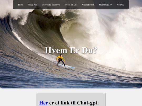 sikkerhed/hvemerdu screenshot