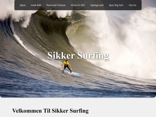 sikkerhed screenshot