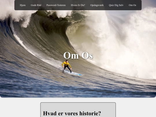 sikkerhed/omos screenshot